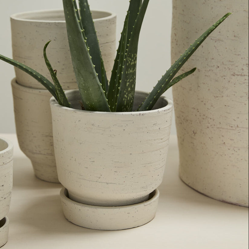 Salavage Pot with Saucer, a off white ceramic home decor accent