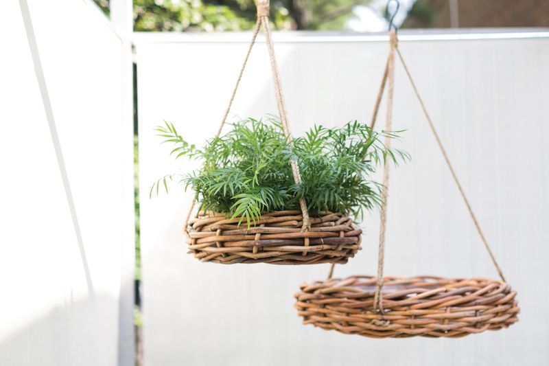 Cabana Plant Hanger