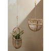 Ordesa Hanging Basket