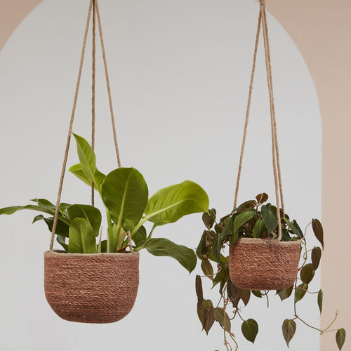Manu Hanging Basket Planter Set of 2