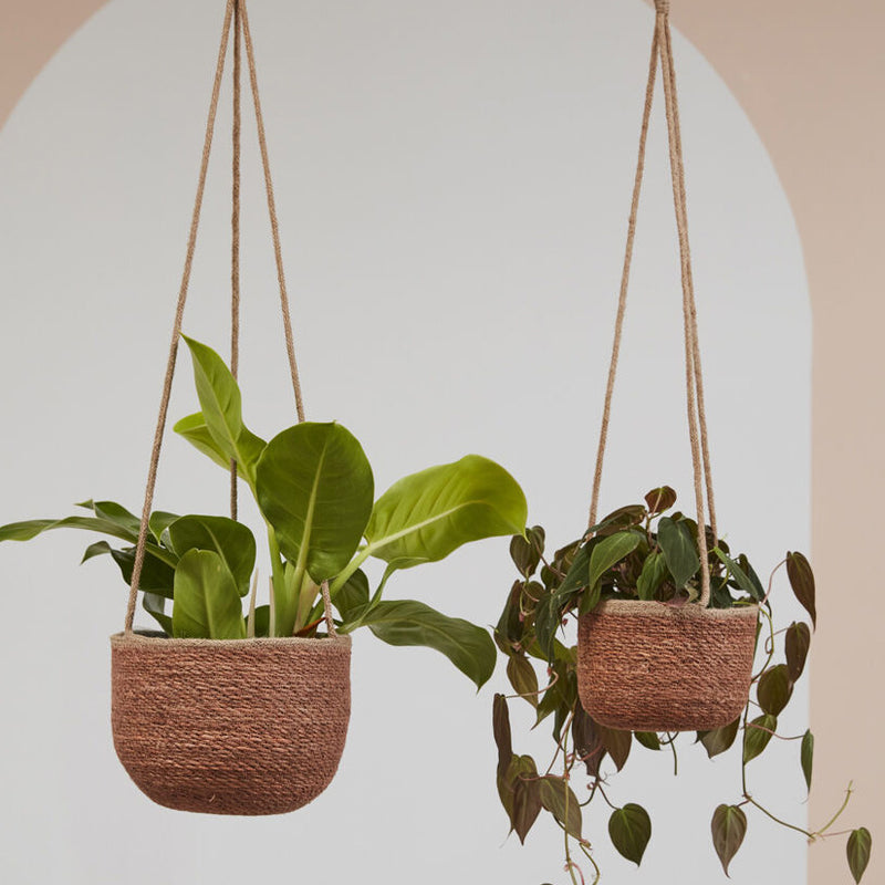 Manu Hanging Basket Planter Set of 2