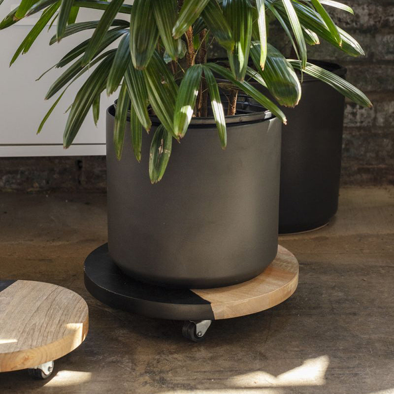 Kylo Plant Stand