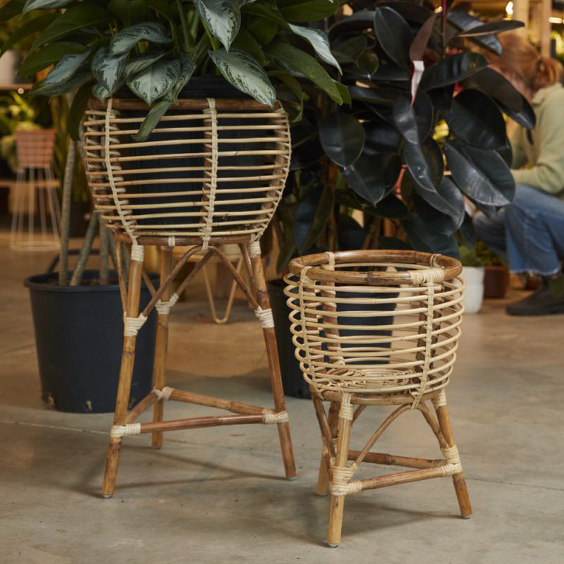 Clancy Plant Stand