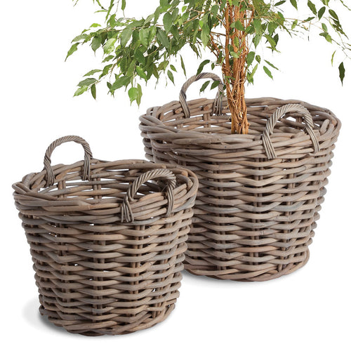 Normandy Tree Basket Set of 2