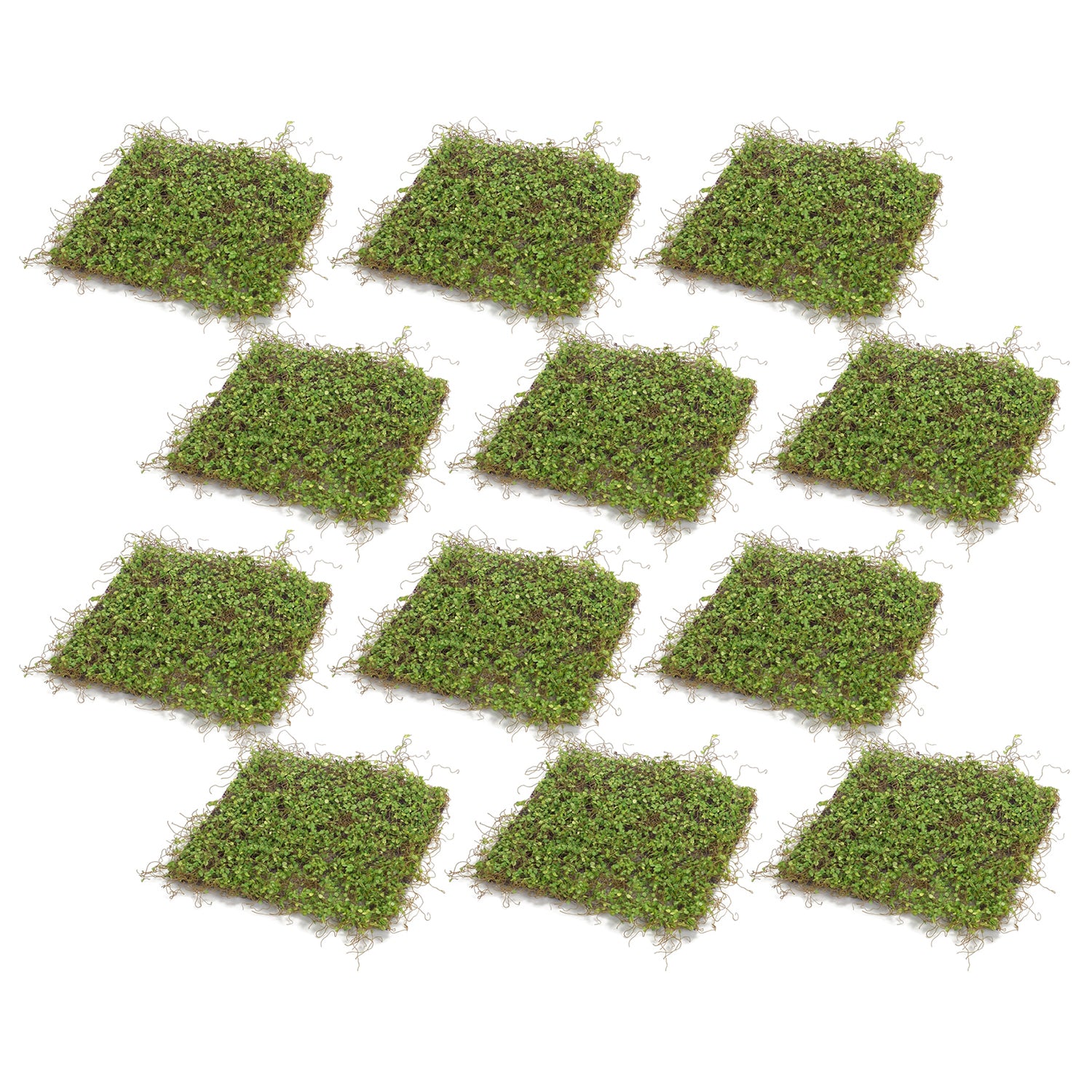 Lifelike Moss Display Mat Set of 12