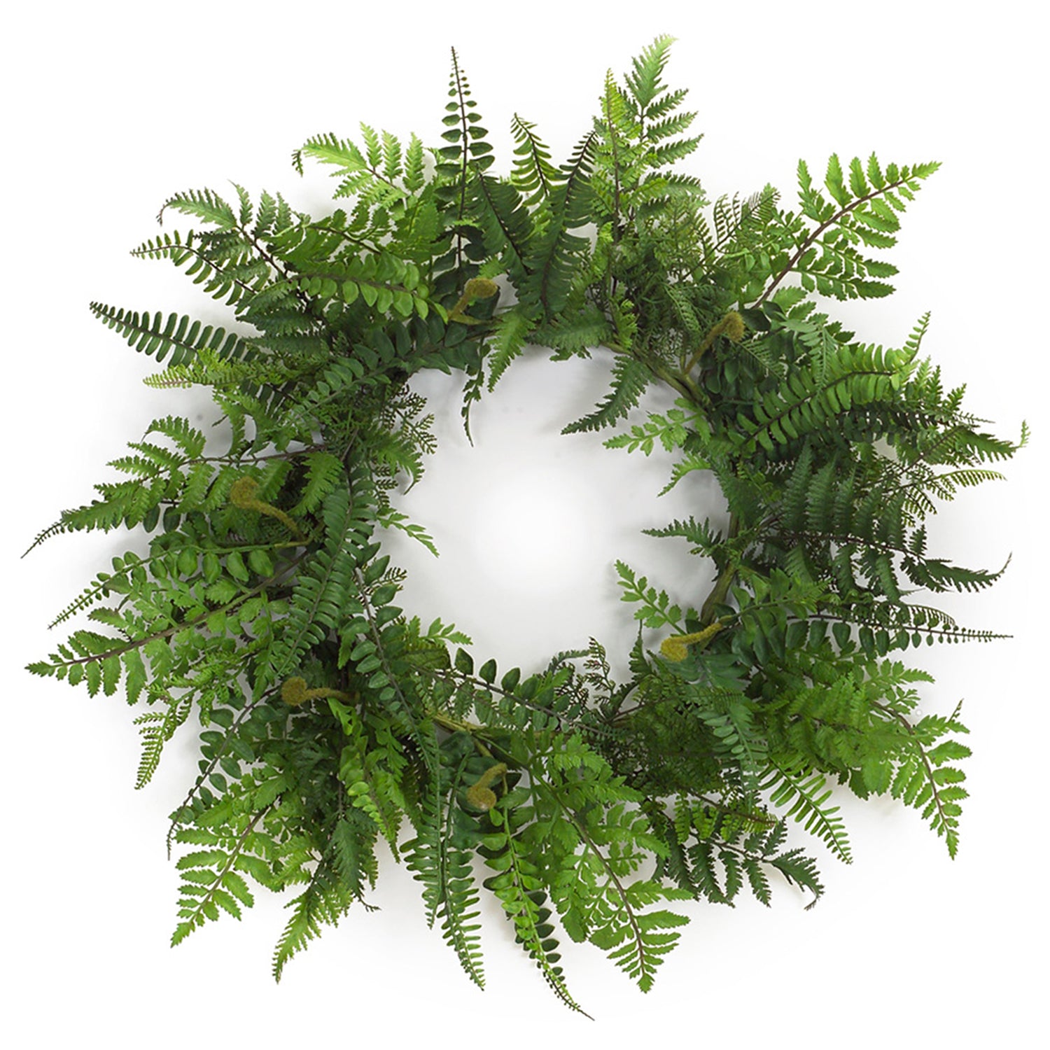 Mixed Fern Grapevine Wreath