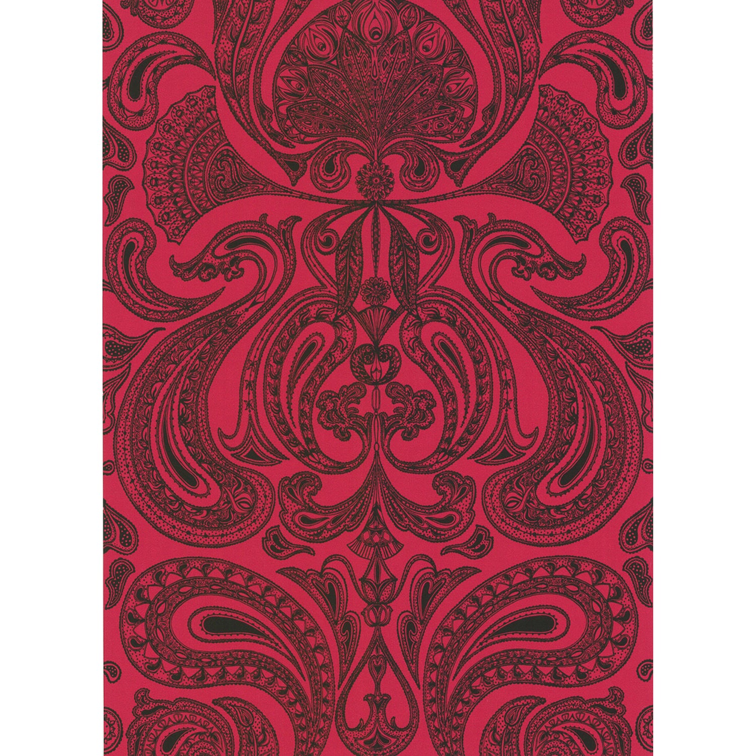 Cole & Son New Contemporary Malabar Wallpaper