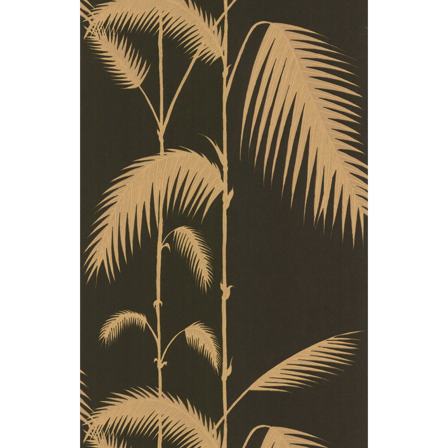 Cole & Son New Contemporary Palm Leaves Wallpaper
