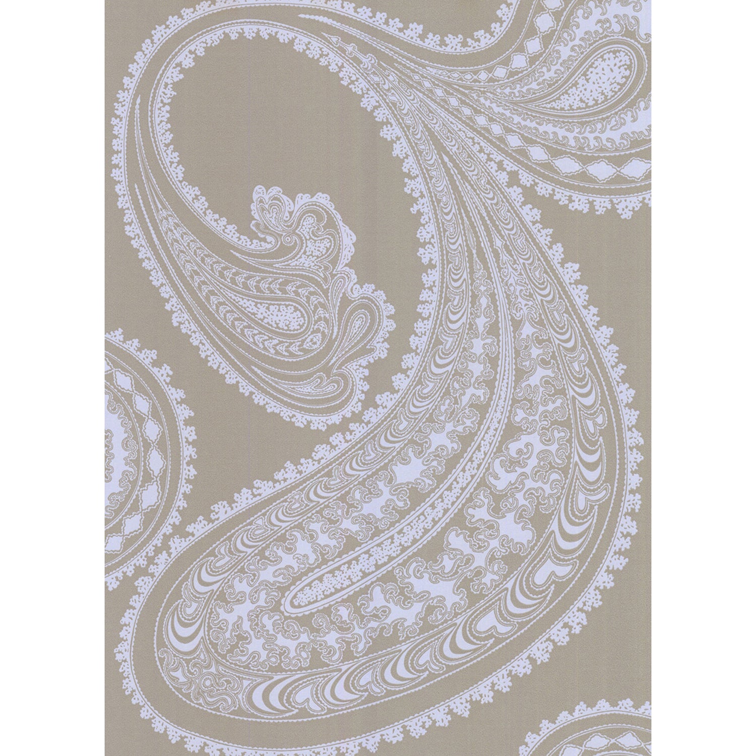 Cole & Son New Contemporary Rajapur Wallpaper