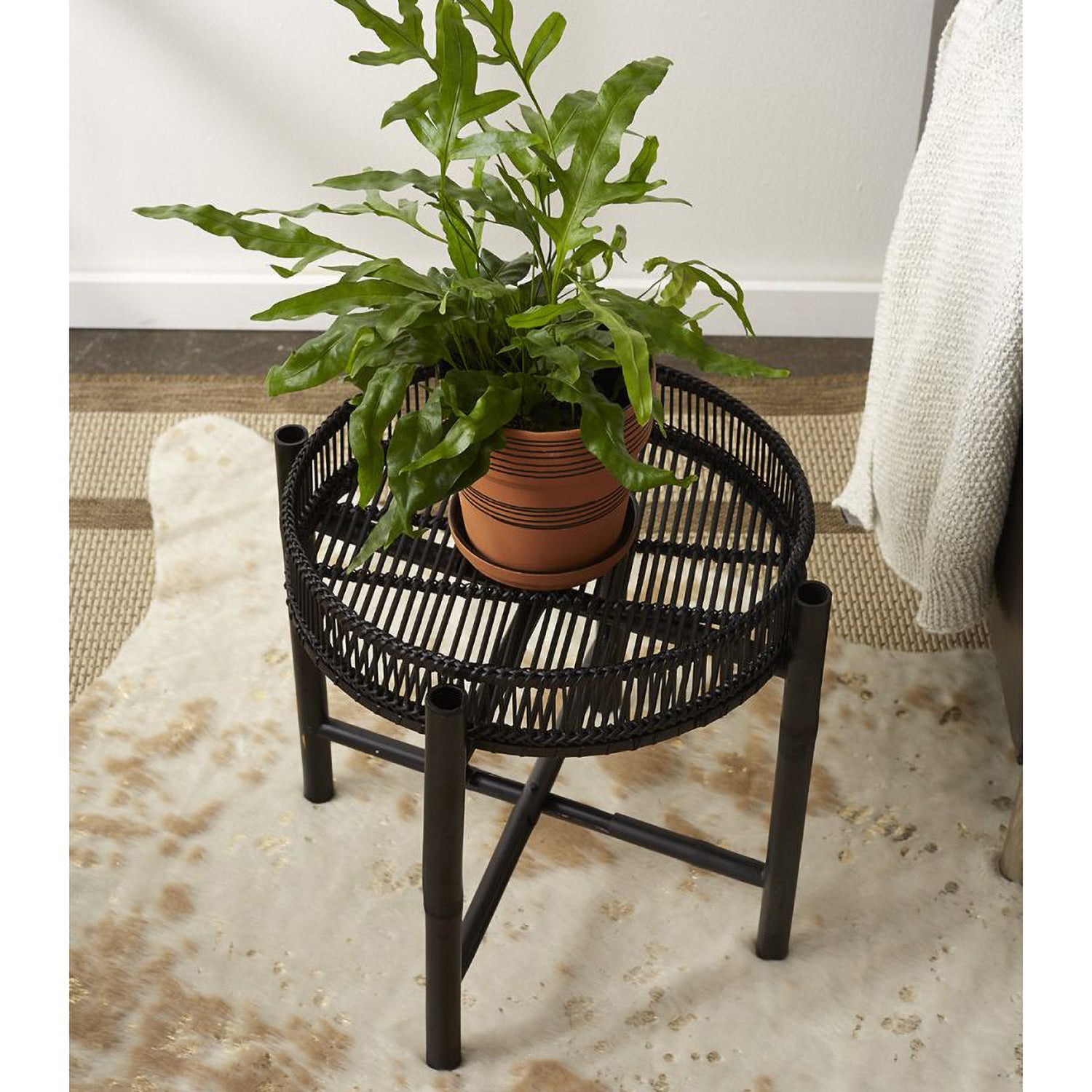 Paynes Gray Nash Plant Stand - Thumbnail 4