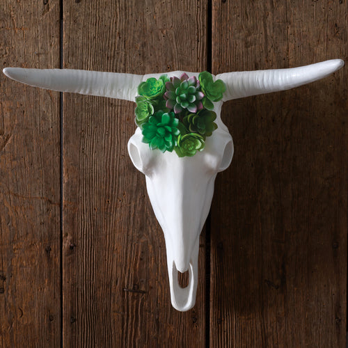Longhorn Skull with Faux Succulents Wall Art