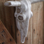 Longhorn Resin Skull Wall Art