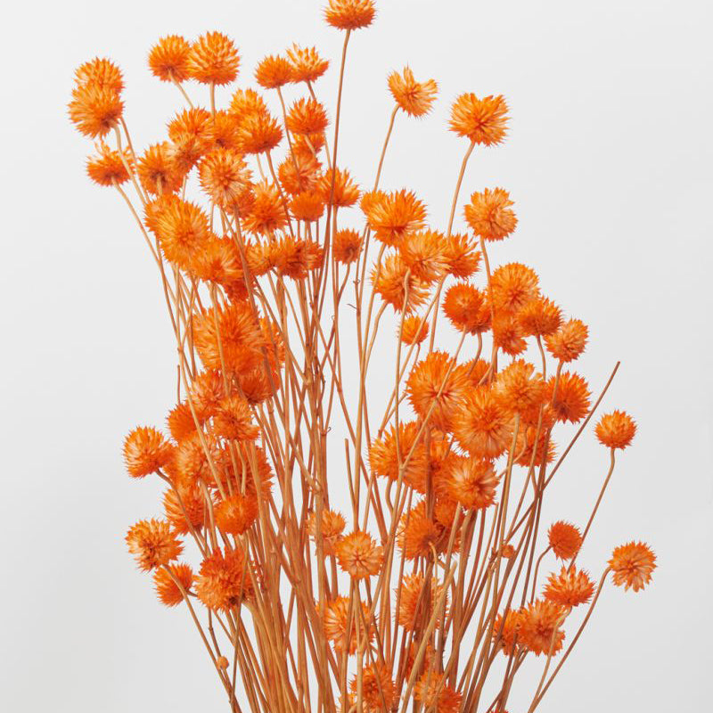 Eryngium Faux Plant Stem Bundle