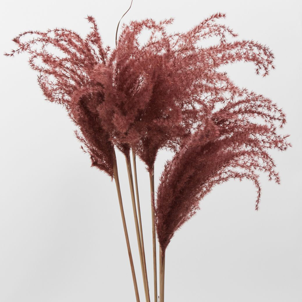 Miscanthus Faux Plant Stem Set of 5