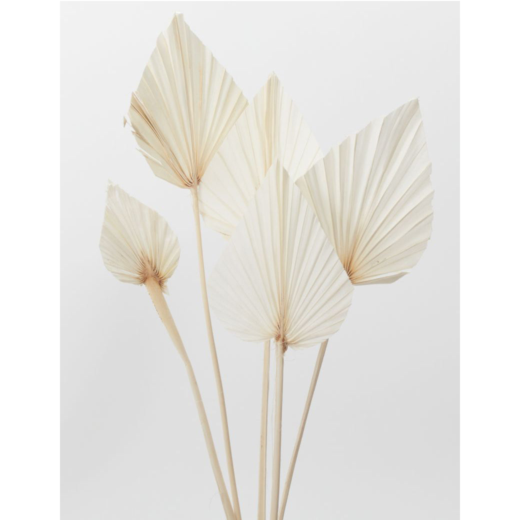 Bleached Palm Faux Plant Stem Set of 5