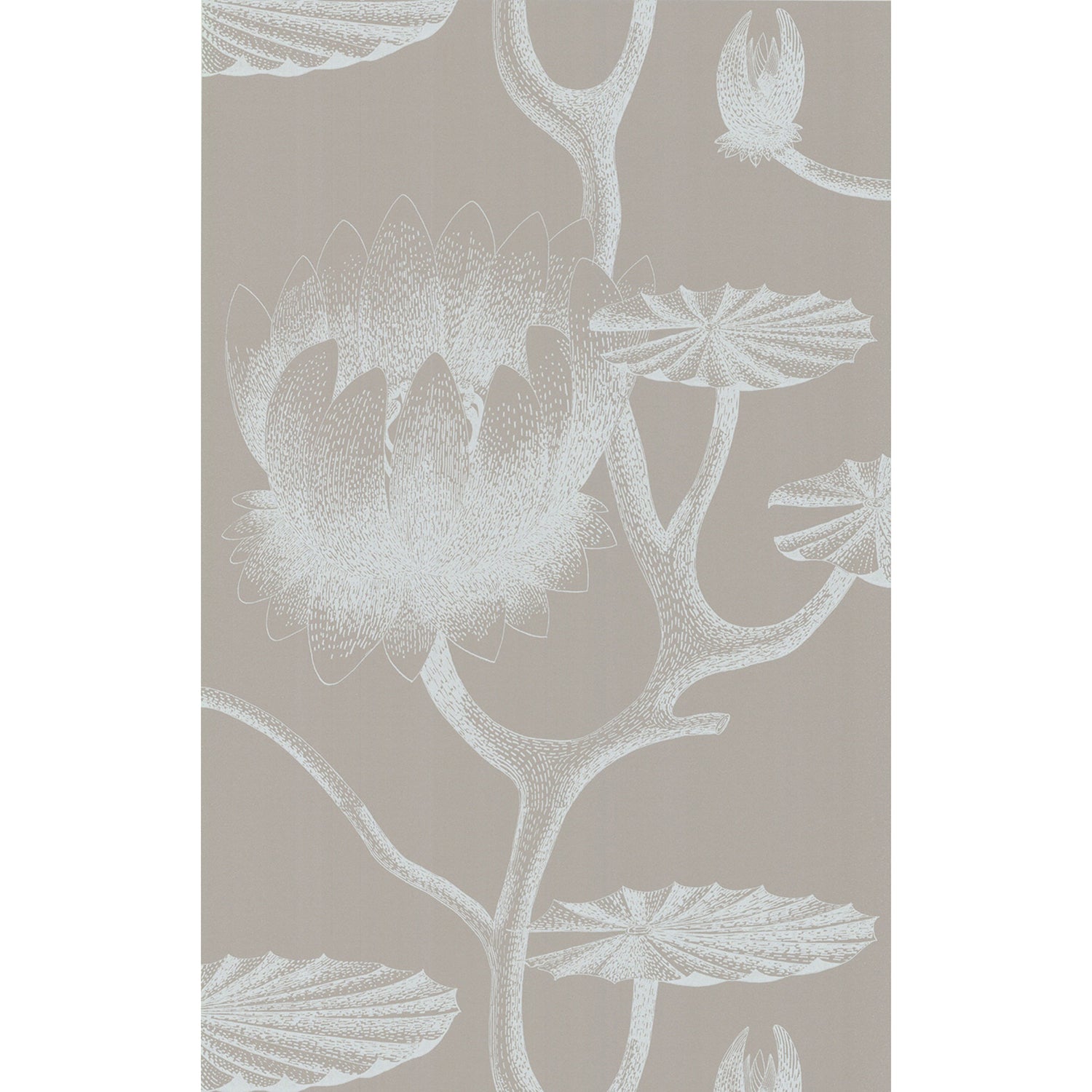 Cole & Son New Contemporary II Lily Wallpaper