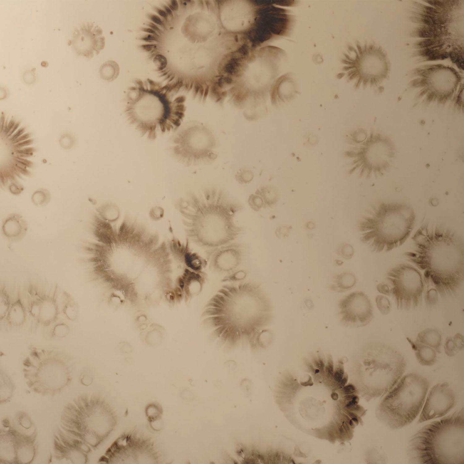 Jamie Young Chambord Small Wall Mirror