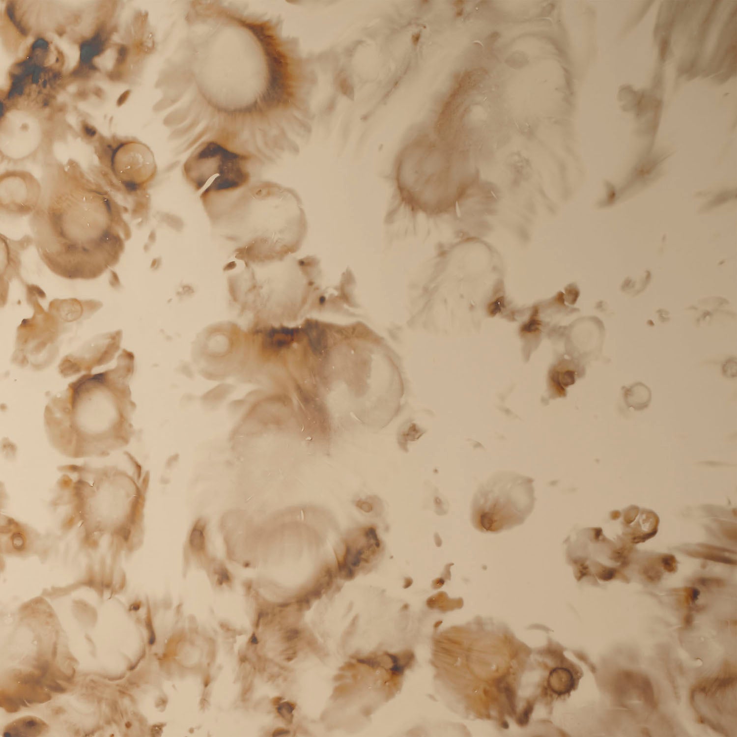 Jamie Young Versailles Wall Mirror