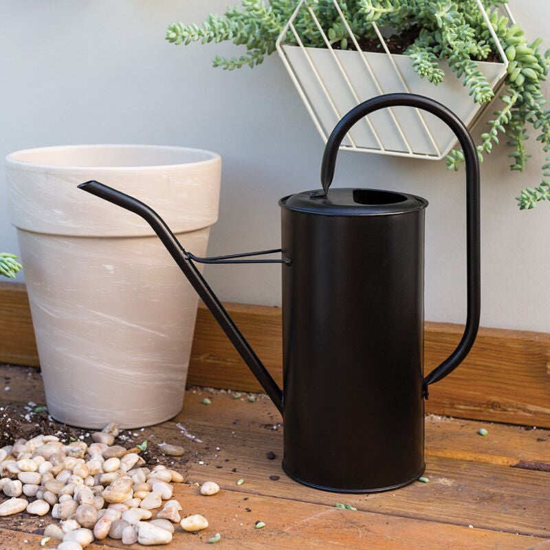 Fletch Watering Can