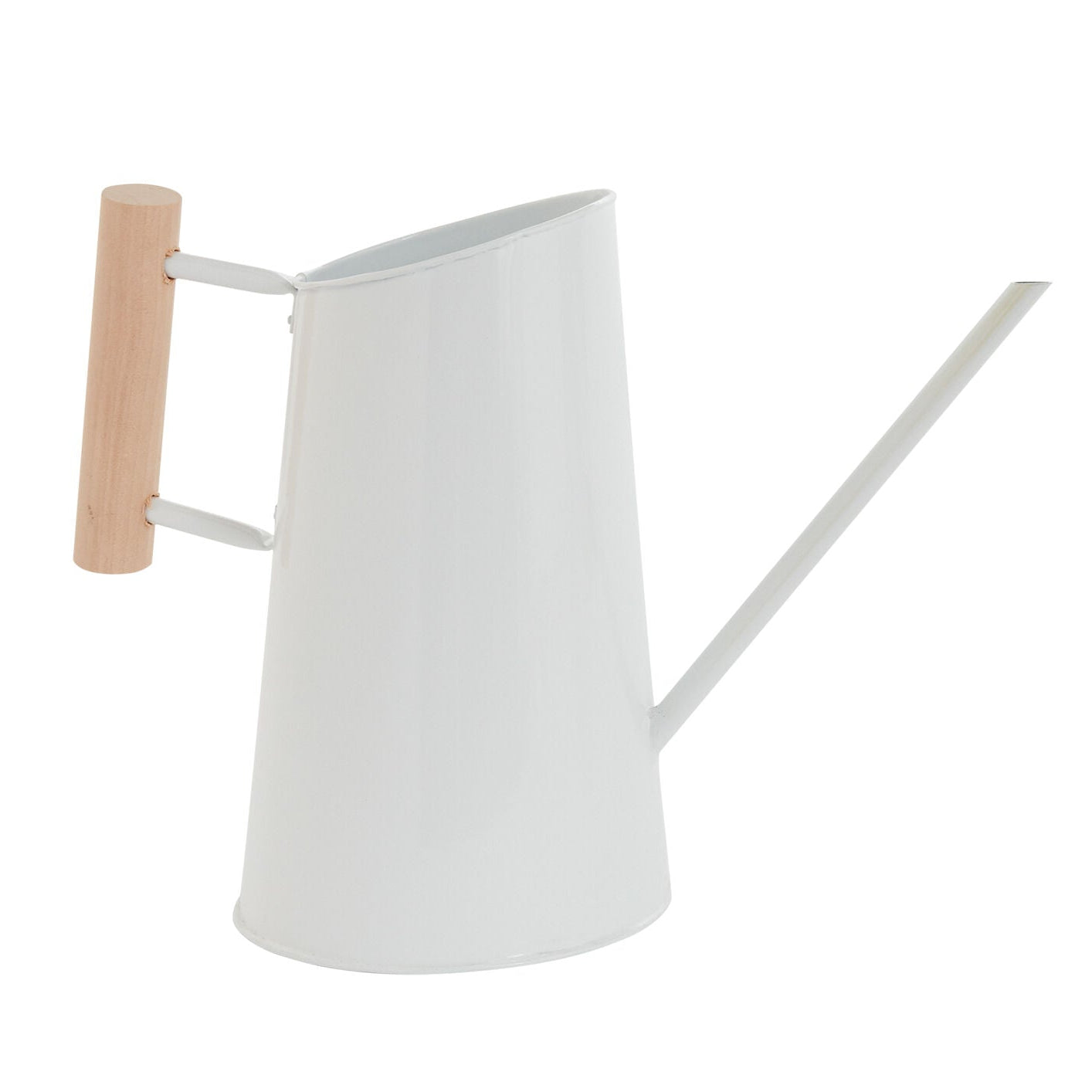 Preston Watering Can decorative accent piece