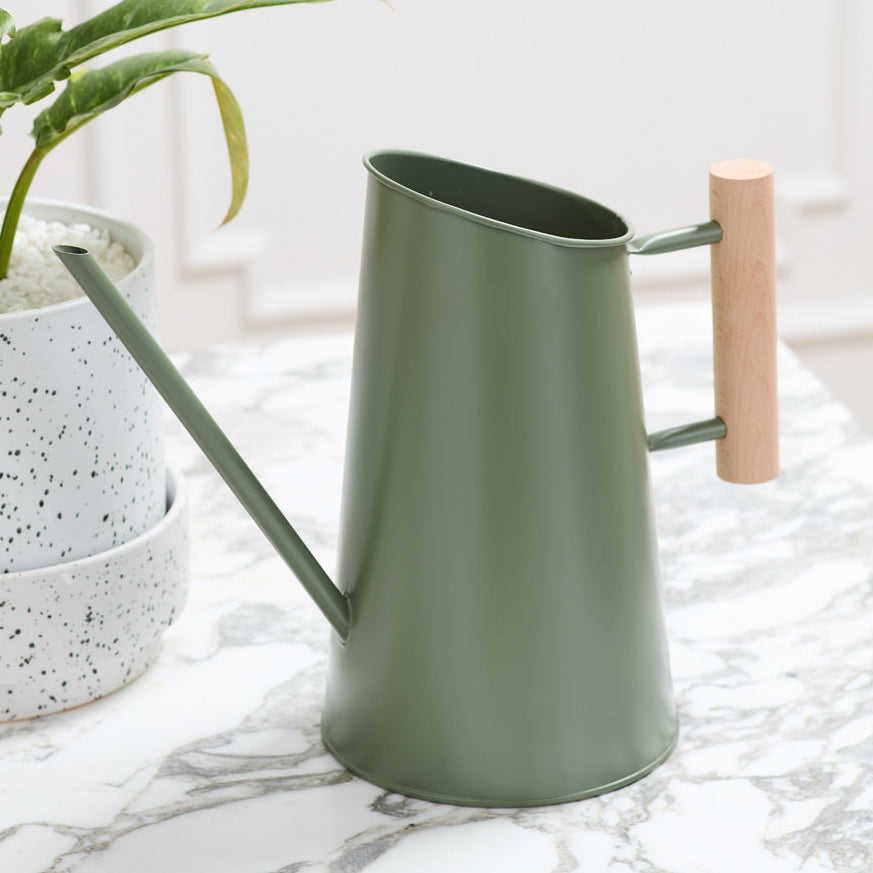 Preston Watering Can decorative home accent