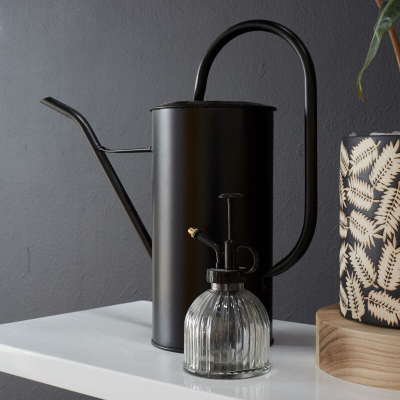 Carlise Plant Mister