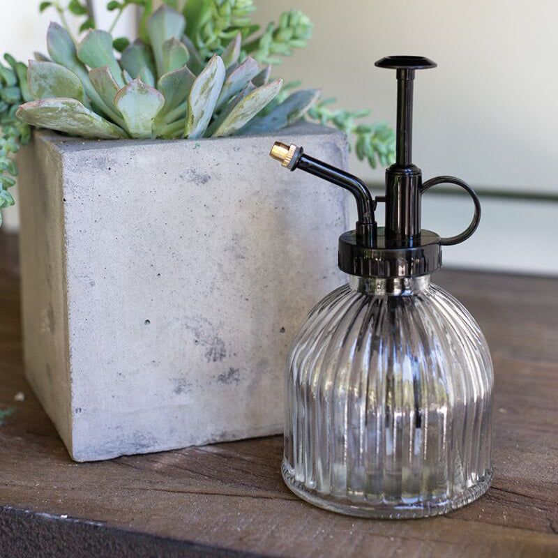 Carlise Plant Mister