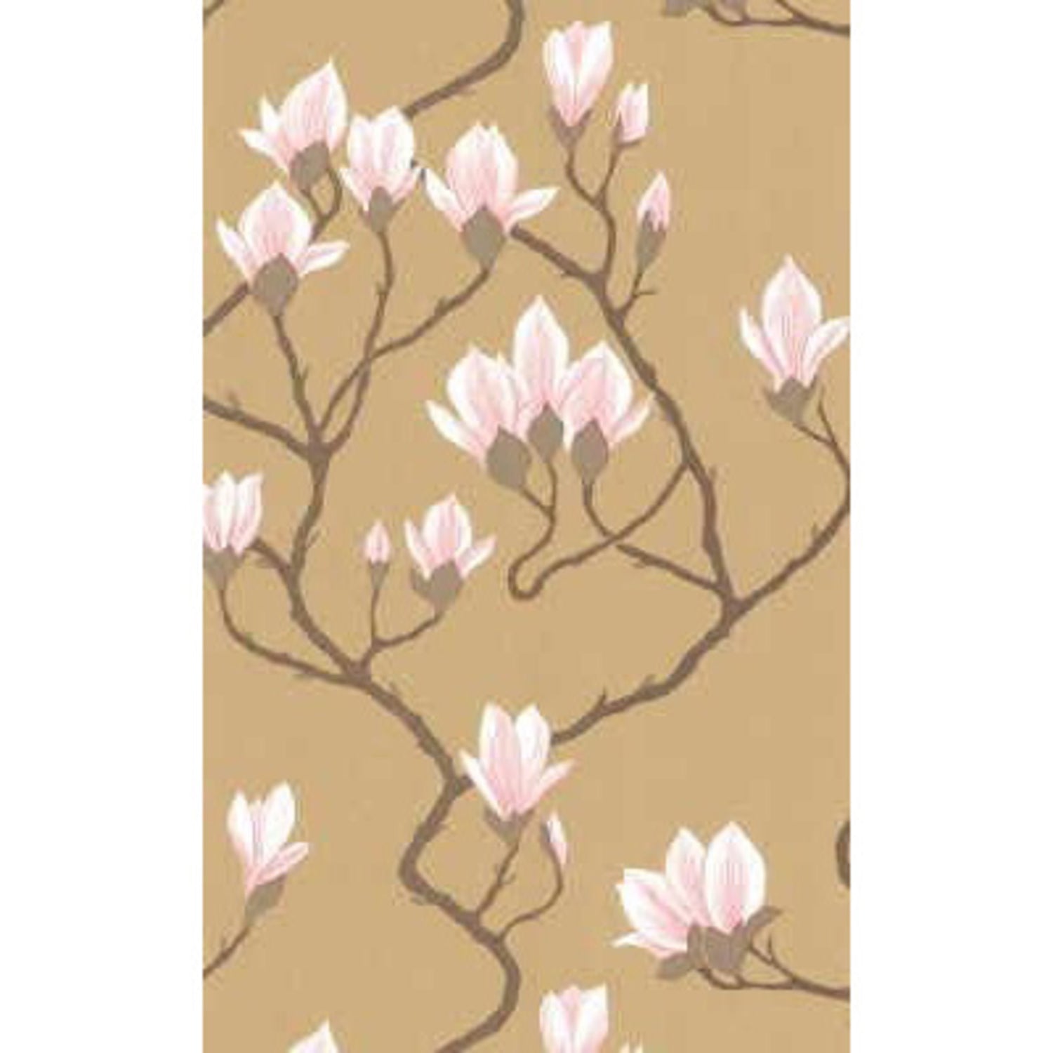Cole & Son New Contemporary Magnolia Wallpaper