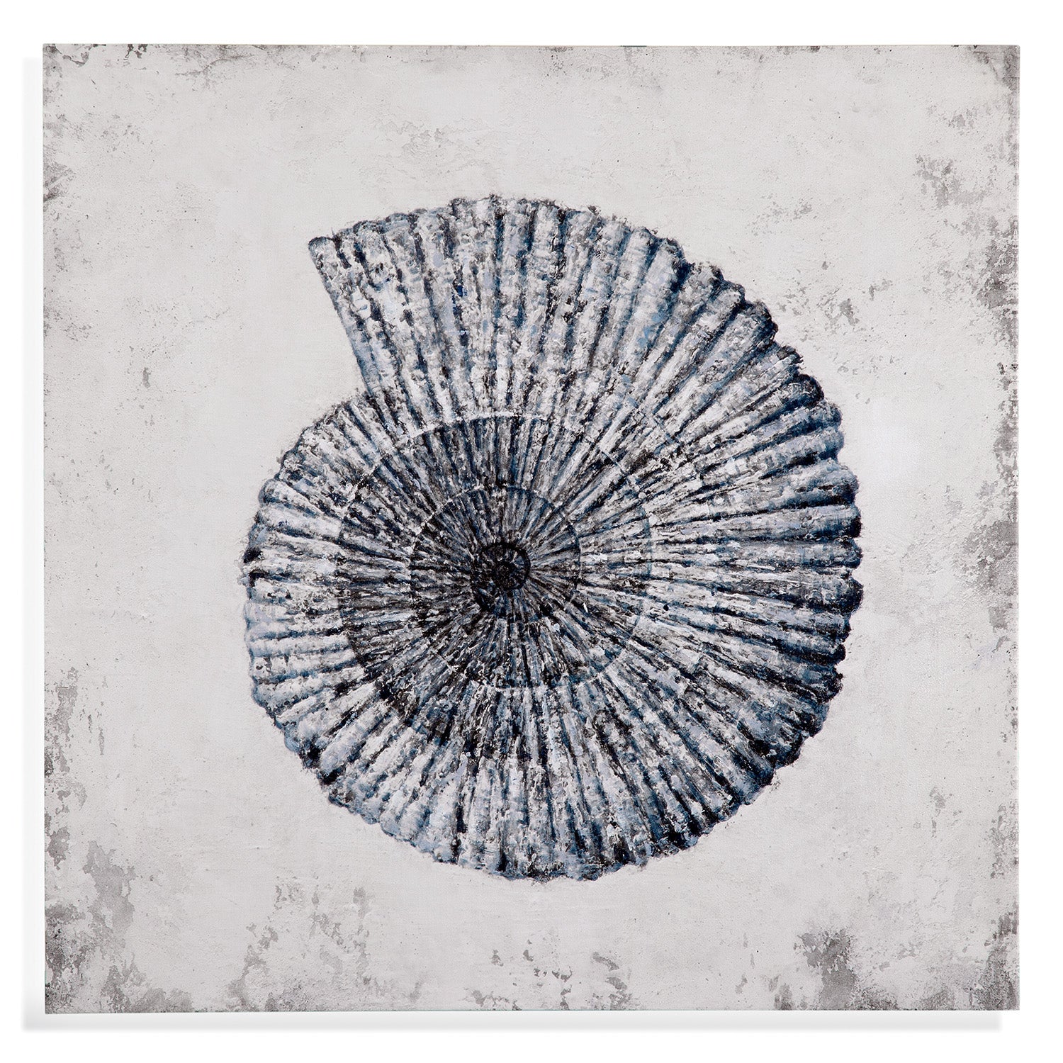 Bassett Mirror Shell II Canvas Art