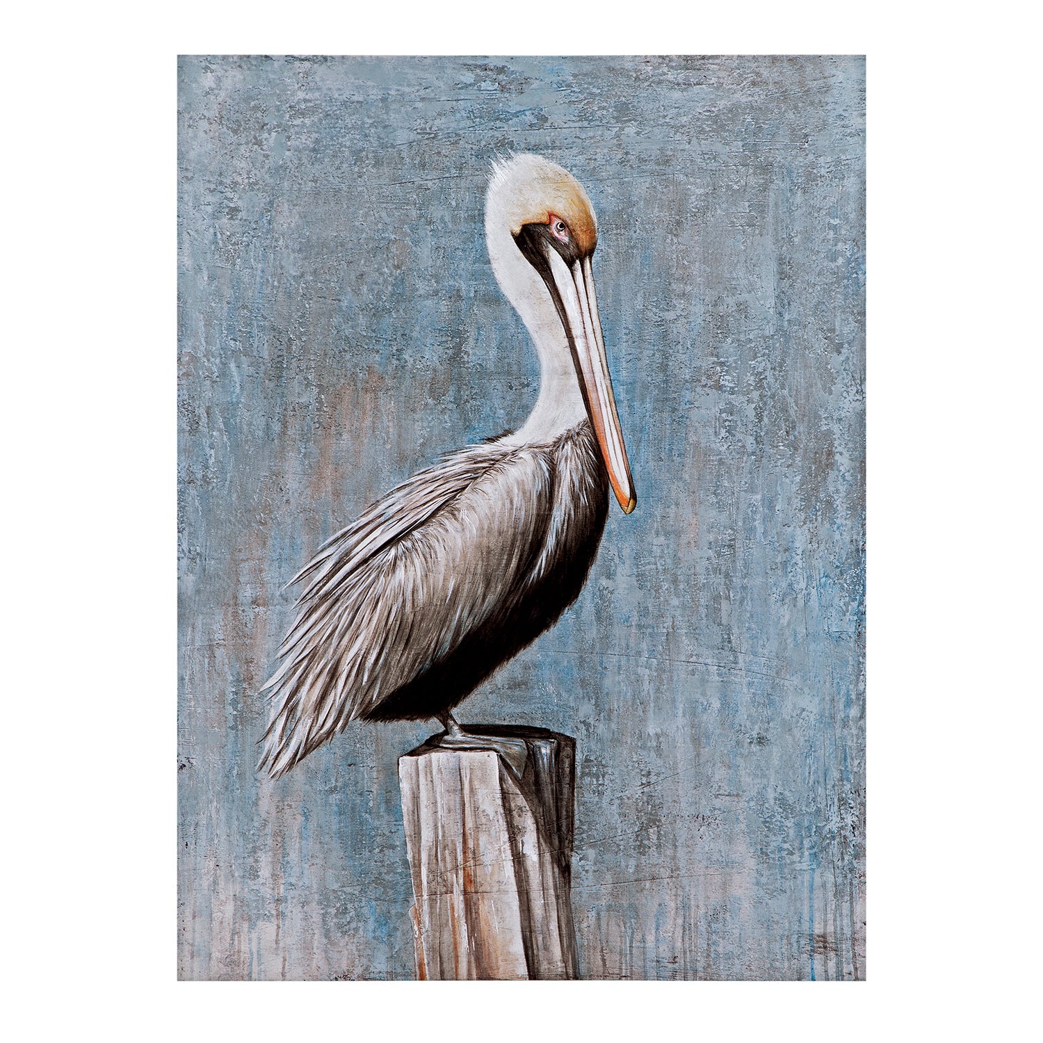 Bassett Mirror Pelican Canvas Art