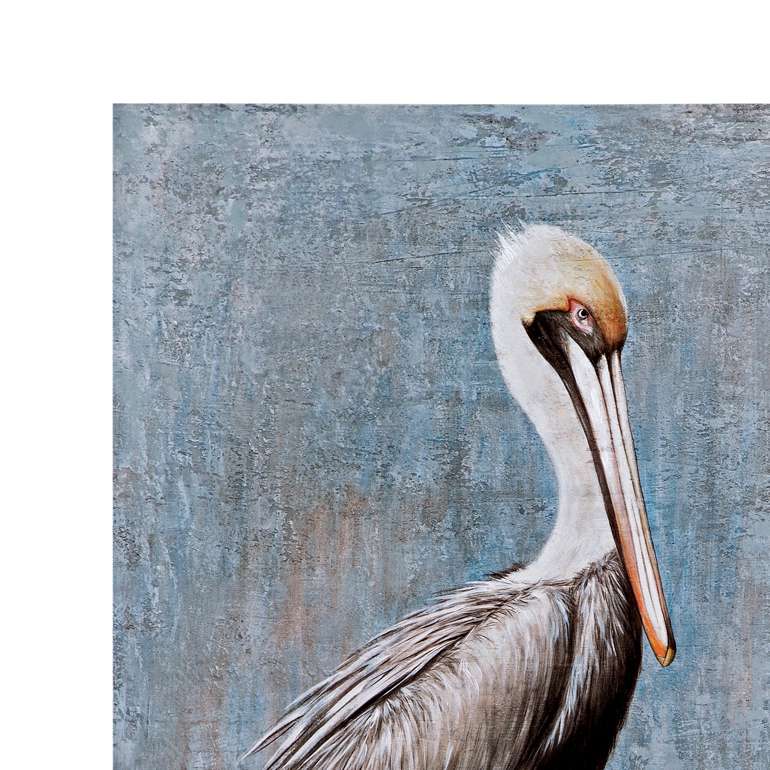 Bassett Mirror Pelican Canvas Art