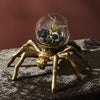Arachnid Terrarium