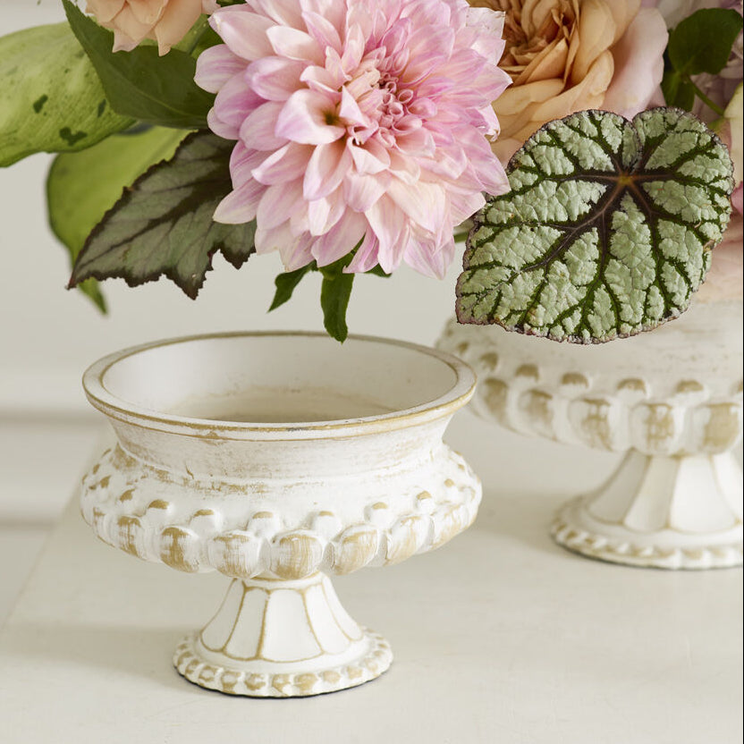 Manor Compote