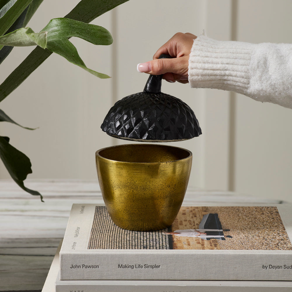 Acorn Stash Lidded Box