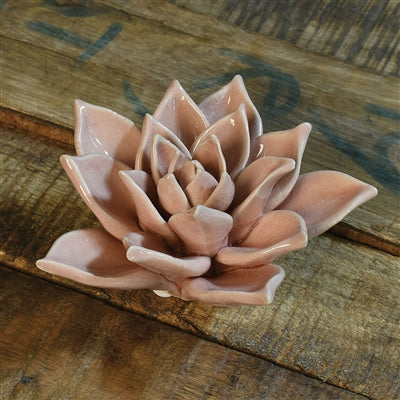 Colorful Succulent Scuplture