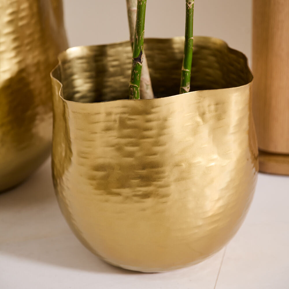 Novella Pot