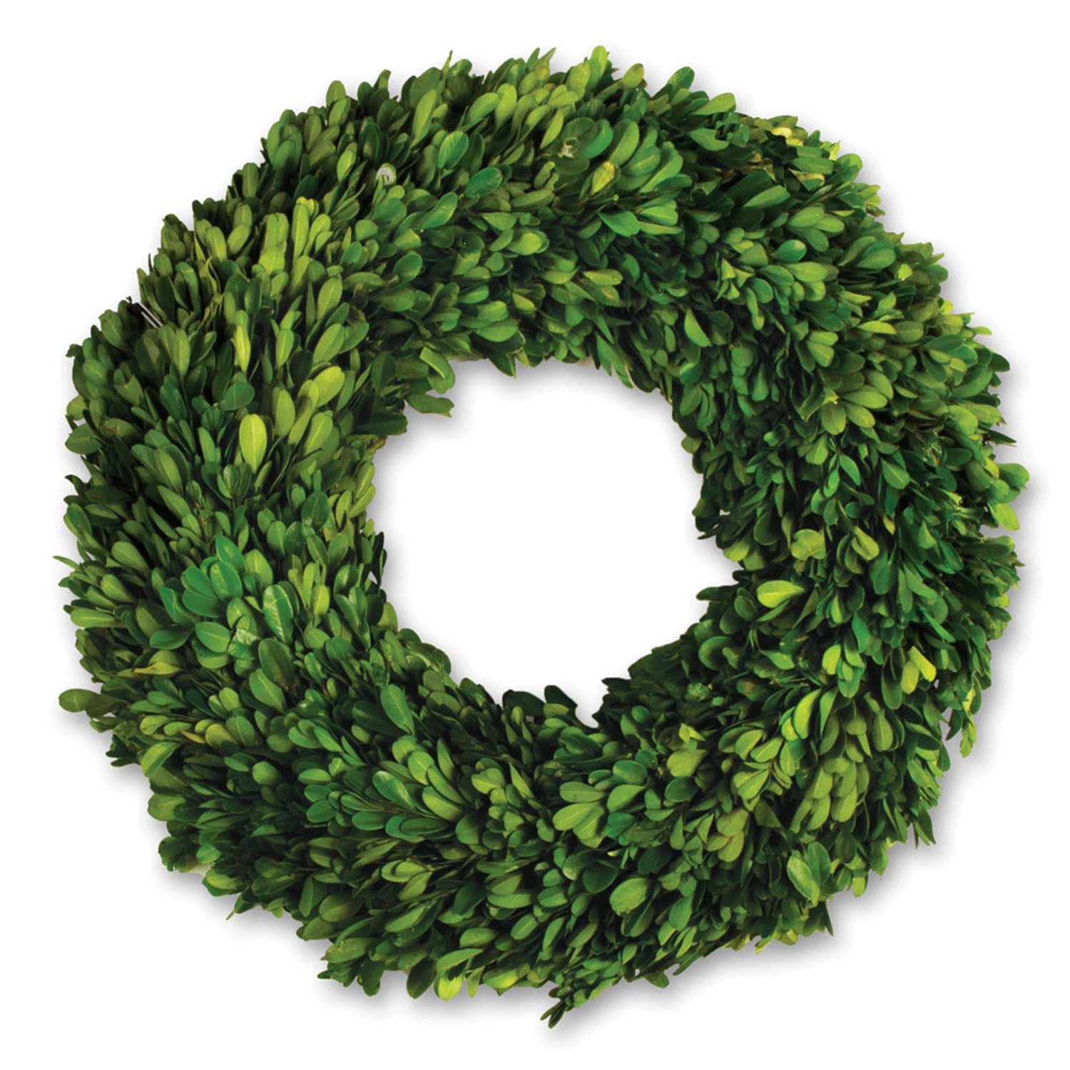 Boxwood 16in Wreath