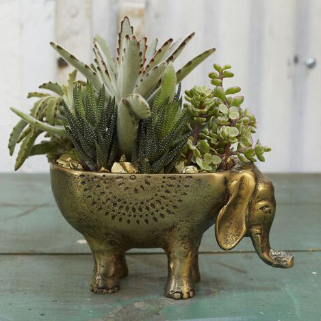 Ezzie Elephant Pot