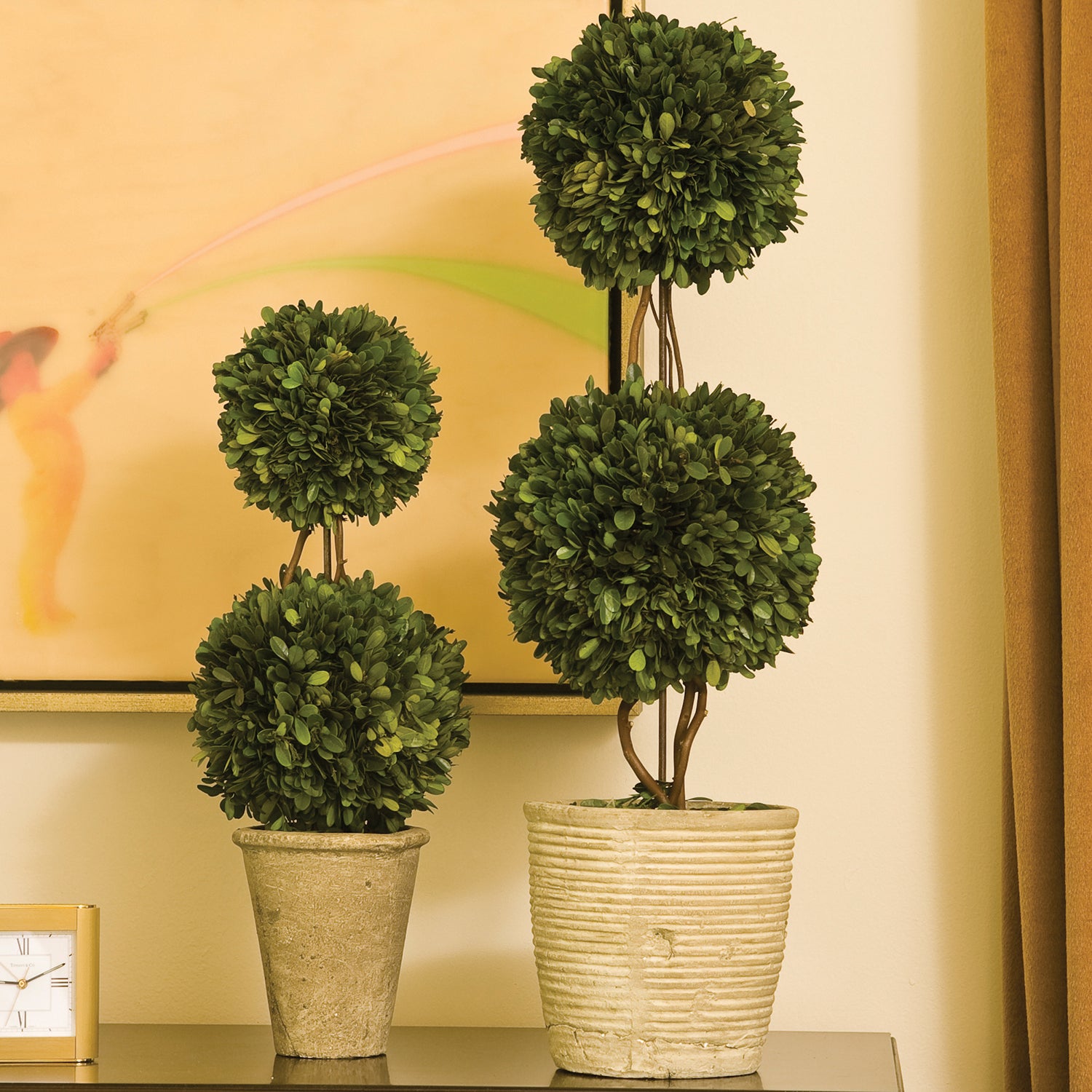 Boxwood Topiary