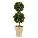 Boxwood Topiary