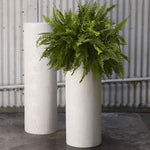 Antigua Column Plant Stand