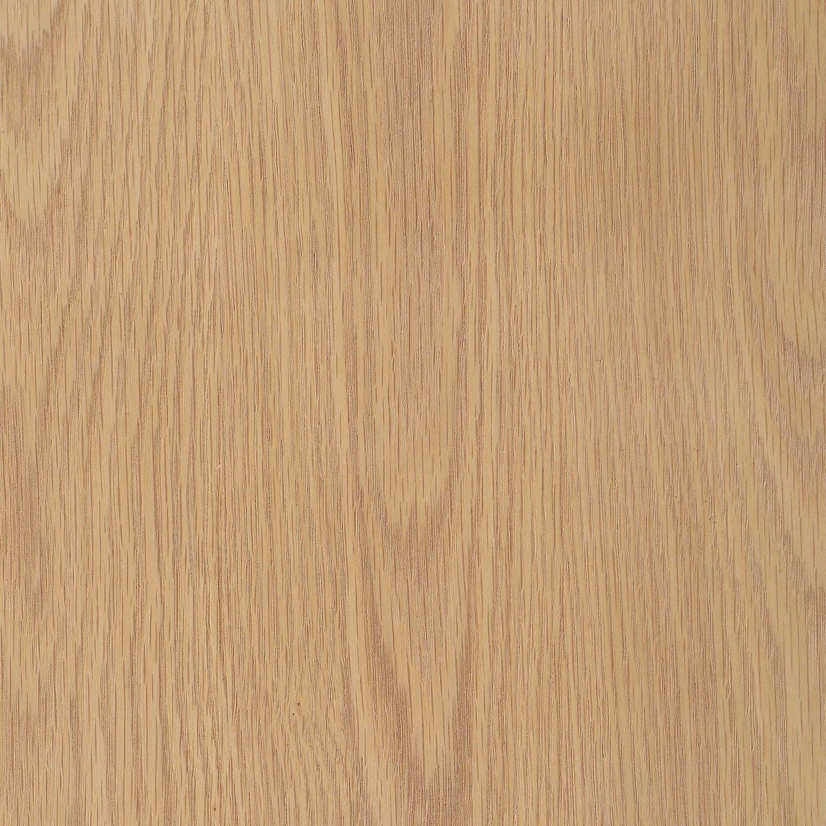 Nexa Natural Solid Wood And Oak Veneer Bookcase