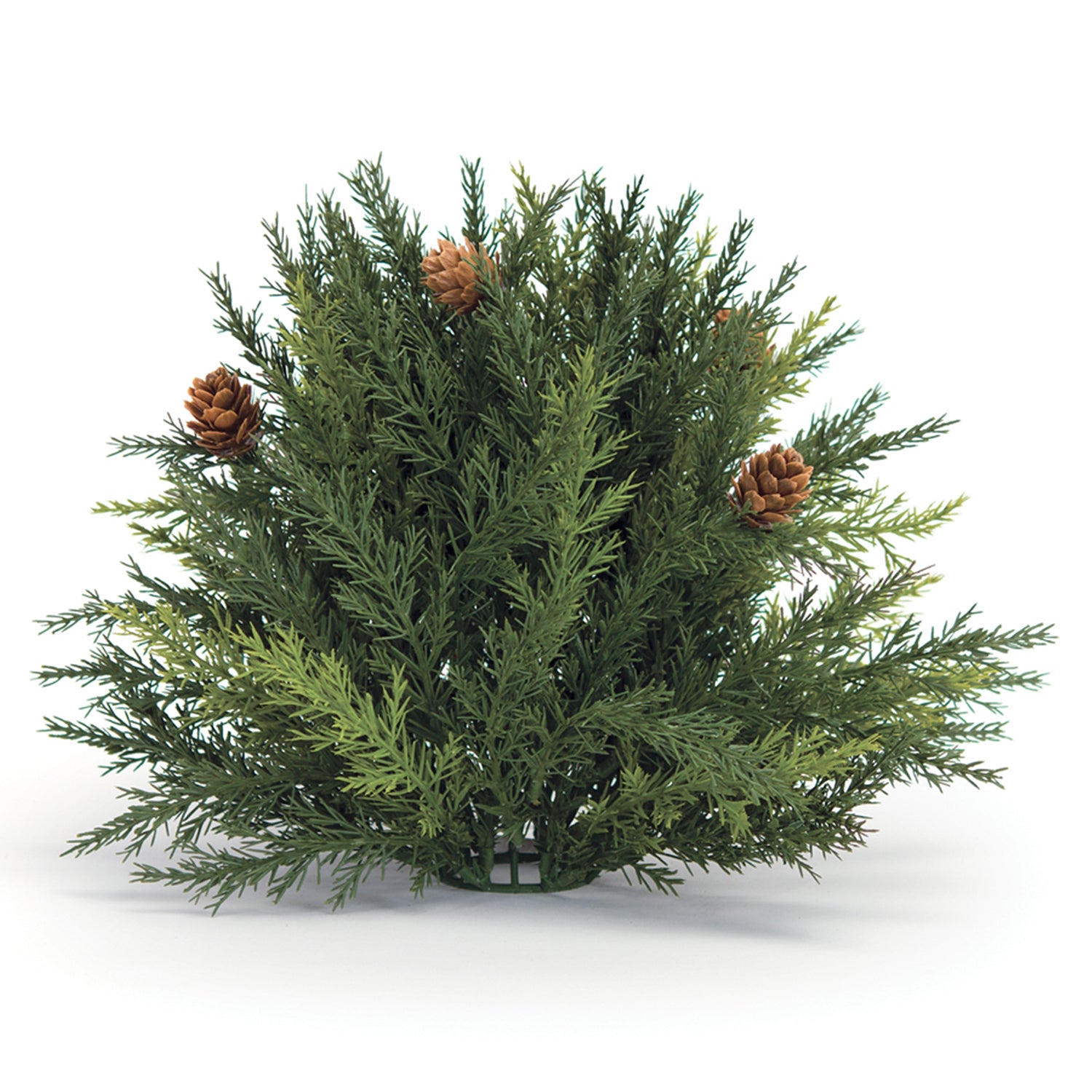 Arborvitae Half Orb