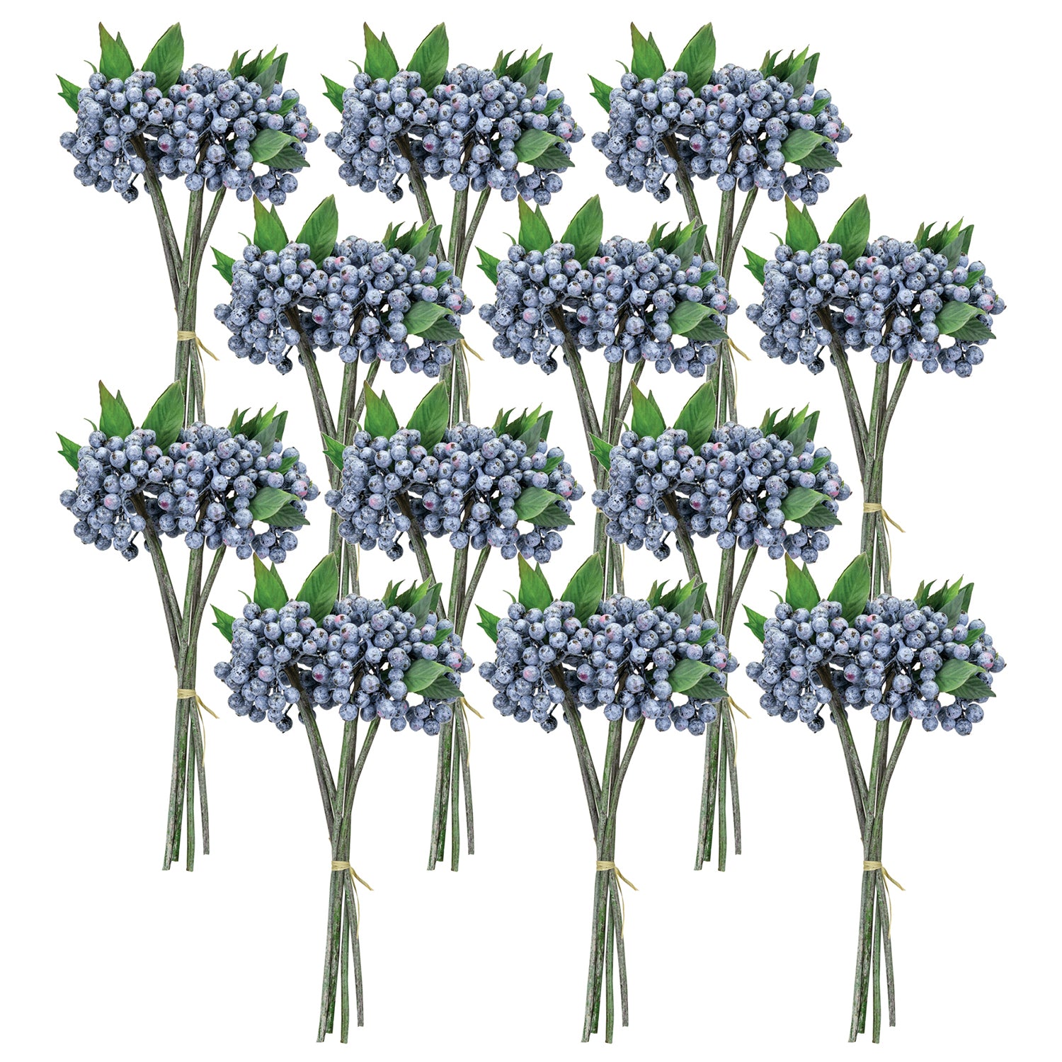 Blue Berry Foliage Bundle Set of 12