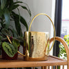 Bright Home Watering Can