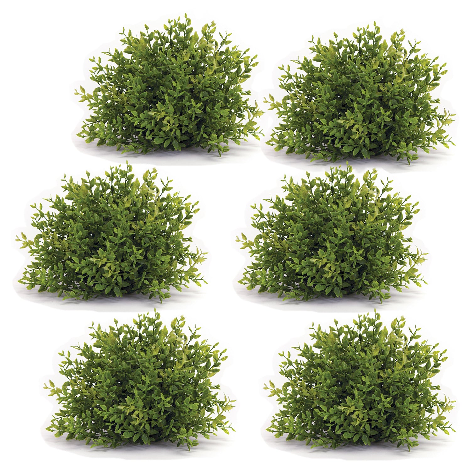 Spring Mini Leaf Foliage Half Orb Set of 6