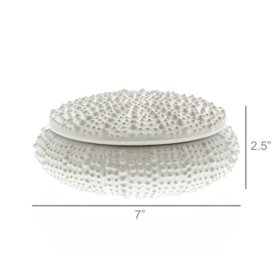 Urchin Box