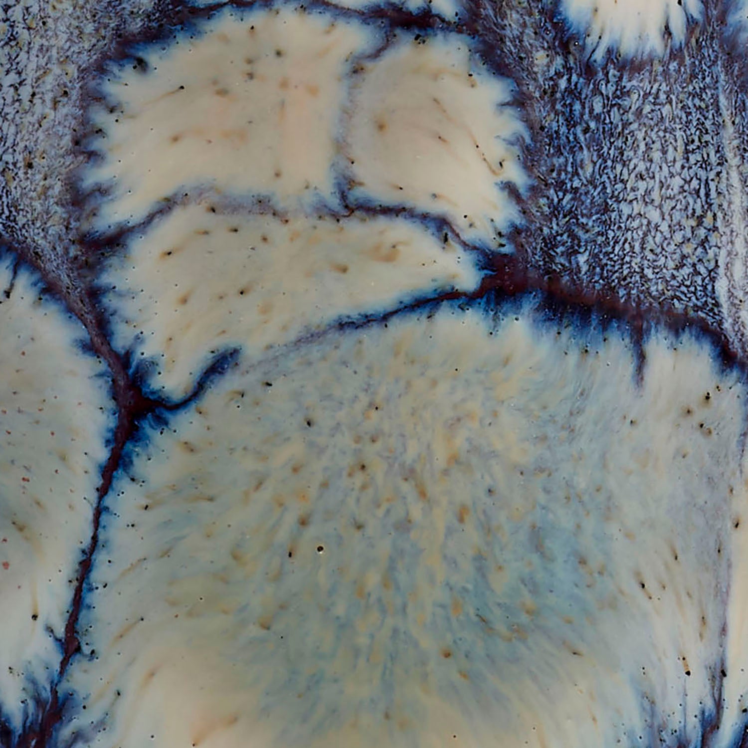 Jamie Young Cloud Vase Set