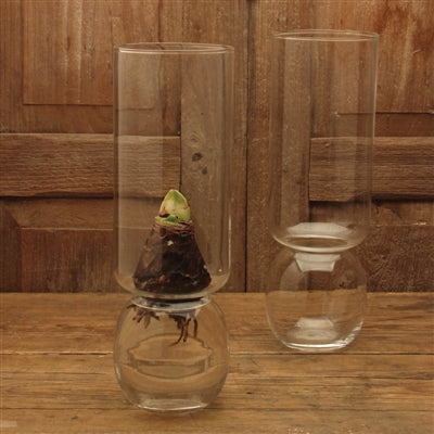 Bulb Clear Vase