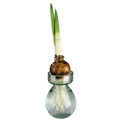 Bulb Recycled Vase